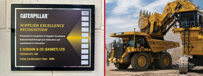 DG BLOG STRIP Caterpillar